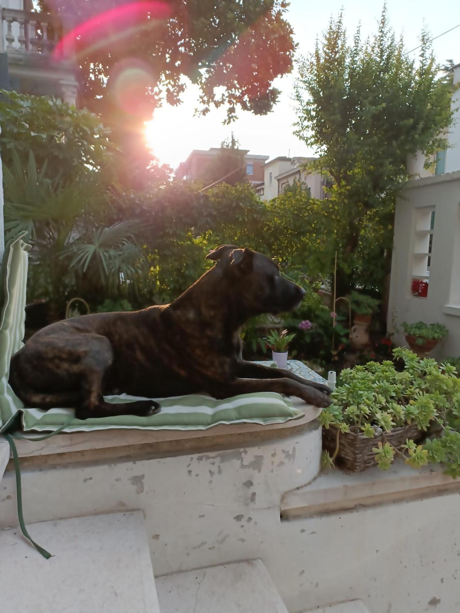 B&B Mavipagi Verona Pokoj fotografie