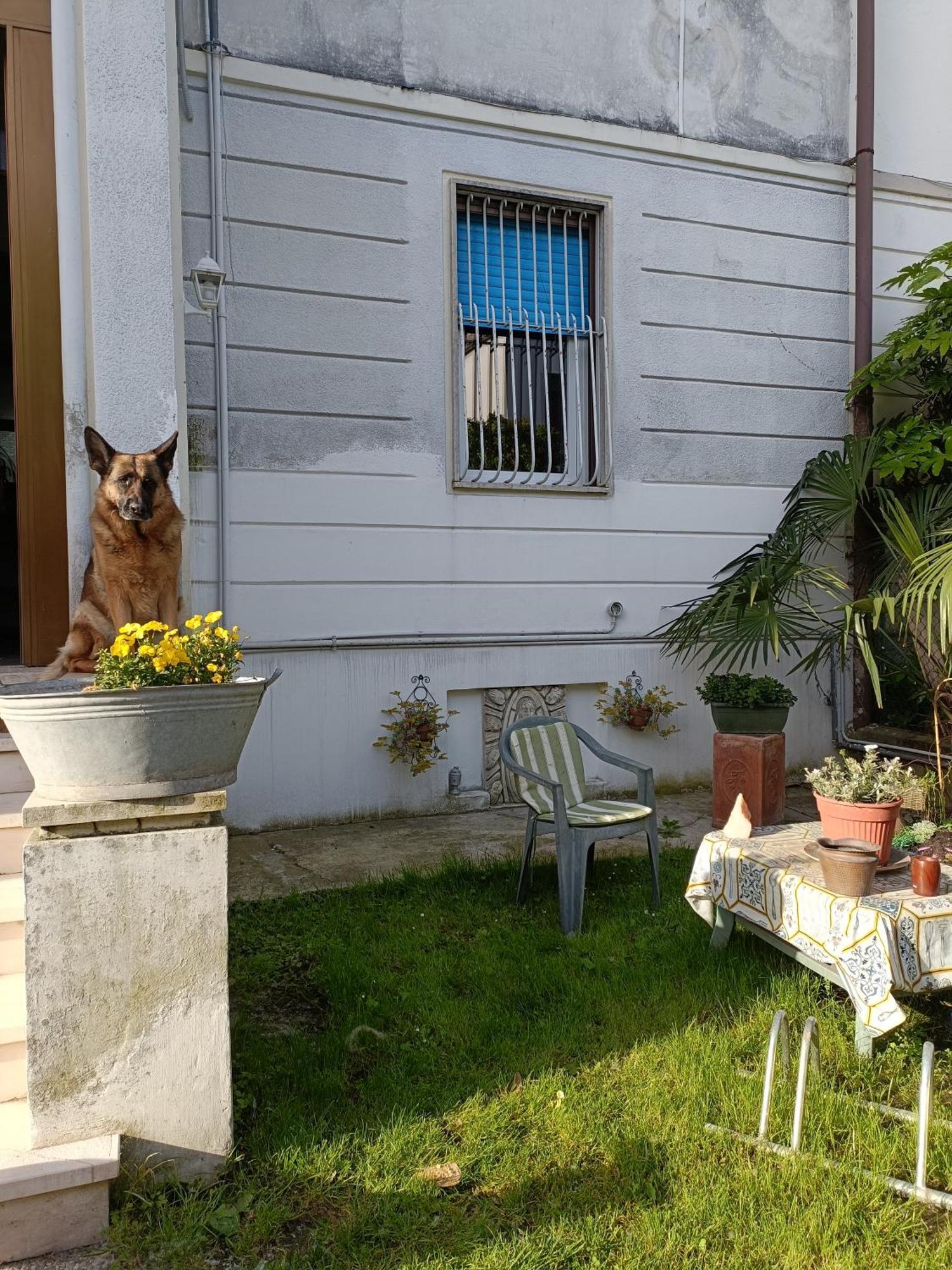 B&B Mavipagi Verona Exteriér fotografie